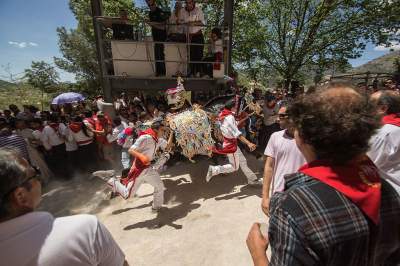 В Испании на фестивале конь атаковал толпу: есть пострадавшие