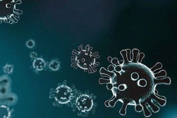 Ученые обнародовали выводы исследования причин возникновения коронавируса COVID-19