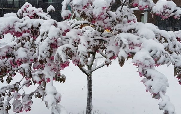 Восточную Европу засыпало снегом: фото