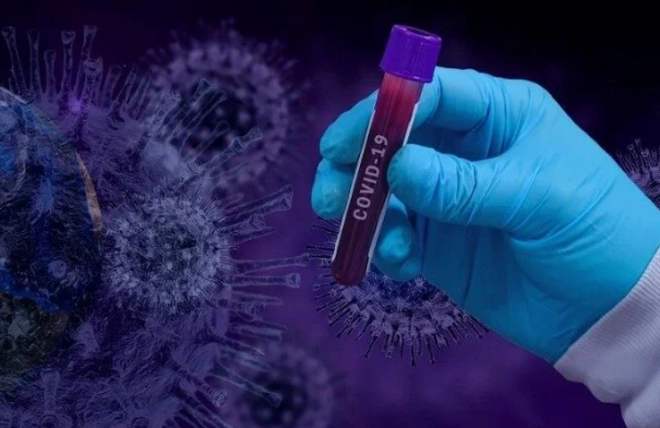 Ученые заявили, что коронавирус изменился
