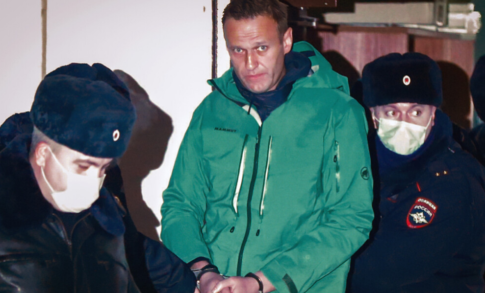 Навального приняли в покровской колонии Владимирской области
