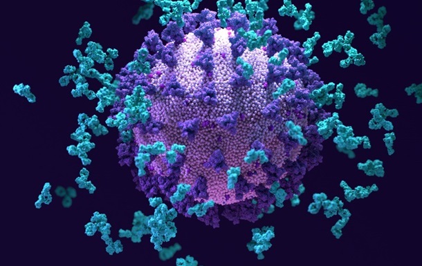 Ученые нашли эффективное антитело против COVID-19