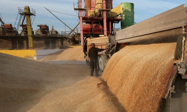 Новости рынка экспорта зерновых в России